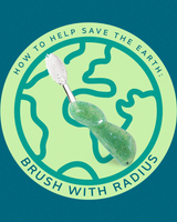 Big Toothbrush with Replaceable Head