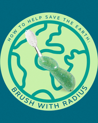 Big Toothbrush with Replaceable Head