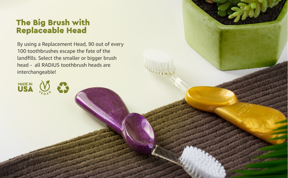 Big Toothbrush with Replaceable Head
