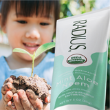 USDA Organic Mint Aloe Neem Toothpaste