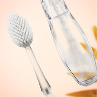 Brush Replacement Heads (2 Pack - Source & TOUR)