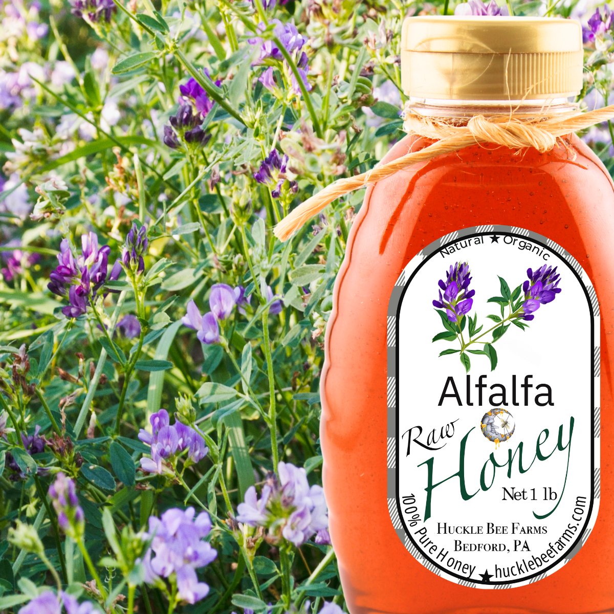 Raw Alfalfa Honey