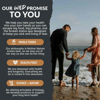 13 Mushroom Complex - Immunity and Longevity Support