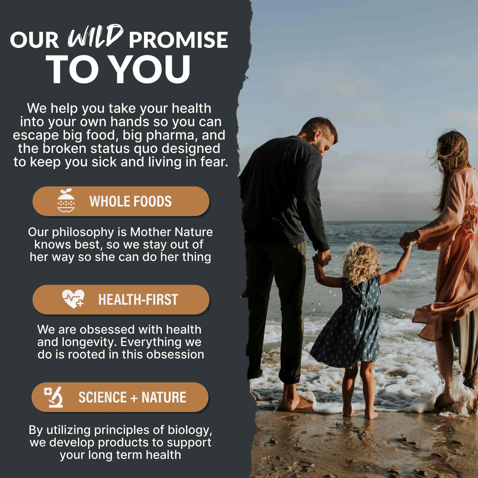 13 Mushroom Complex - Immunity and Longevity Support