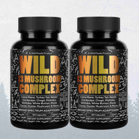 13 Mushroom Complex - Immunity and Longevity Support