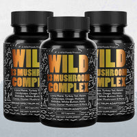 13 Mushroom Complex - Immunity and Longevity Support