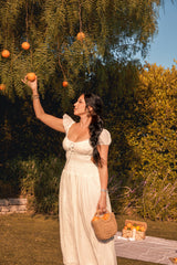 Jaclyn Hill's Orange Twist - 12 Pack