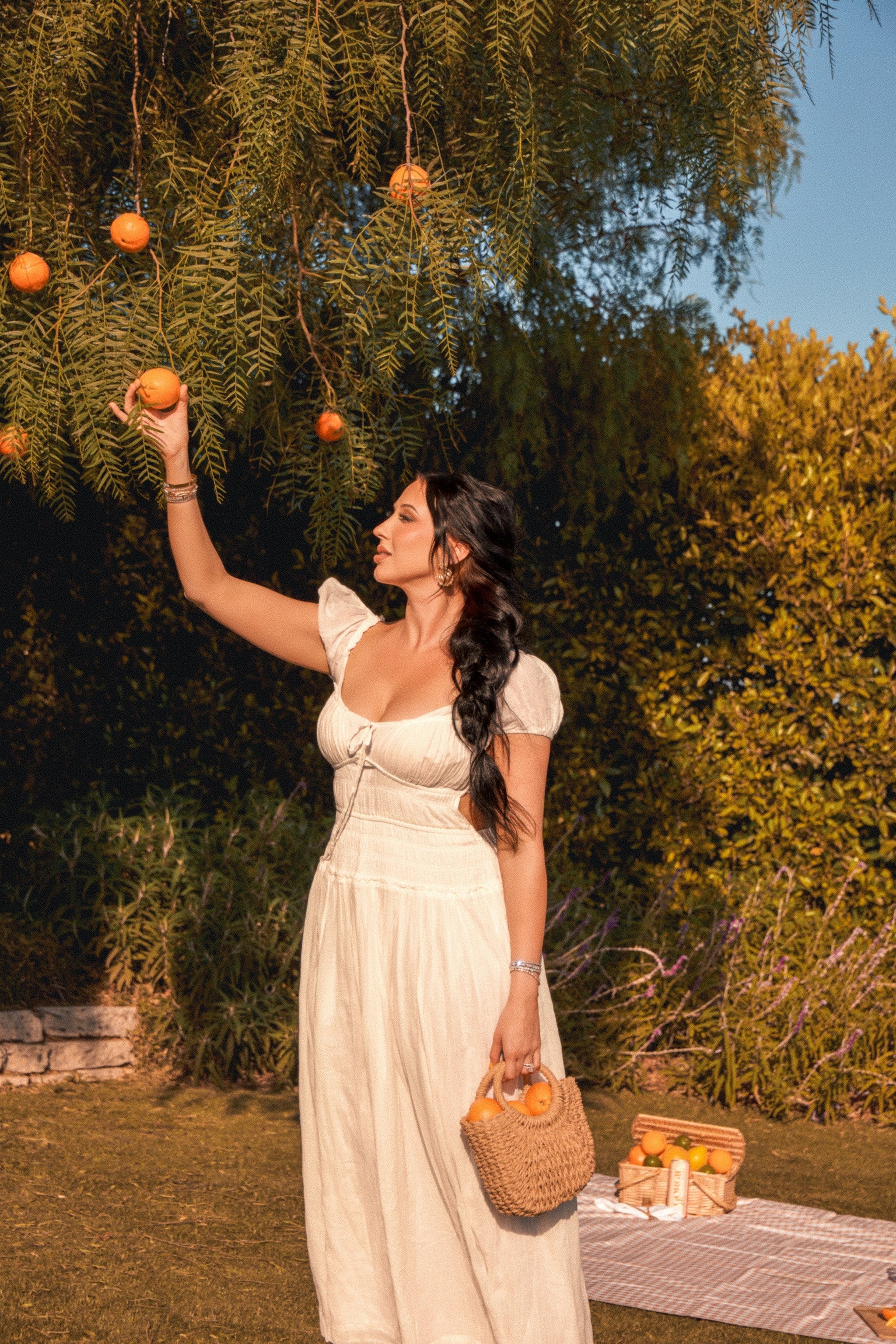 Jaclyn Hill's Orange Twist - 12 Pack