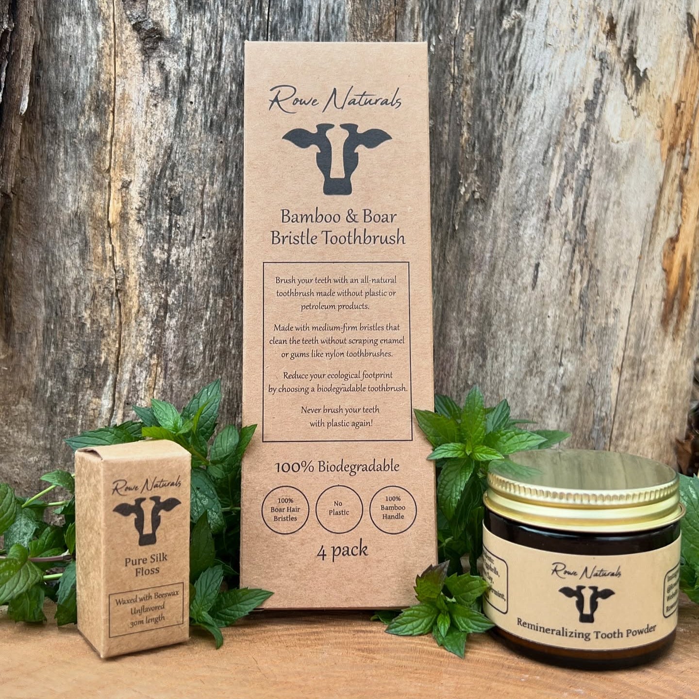 Boar Bristle Oral Care Set