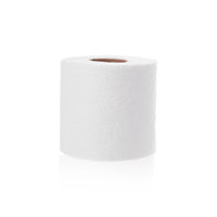Premium Toilet Paper & Paper Towels