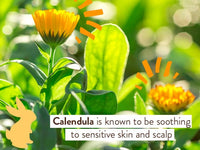 Moisturizing Oat & Calendula 2-in-1 Shampoo & Wash - 2 Pack