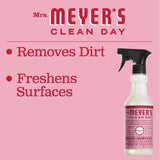 Peppermint Multi-Surface Everyday Cleaner - 6 Pack