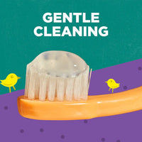 Mild Fruit Fluoride-Free Toddler Training Natural Toothpaste
