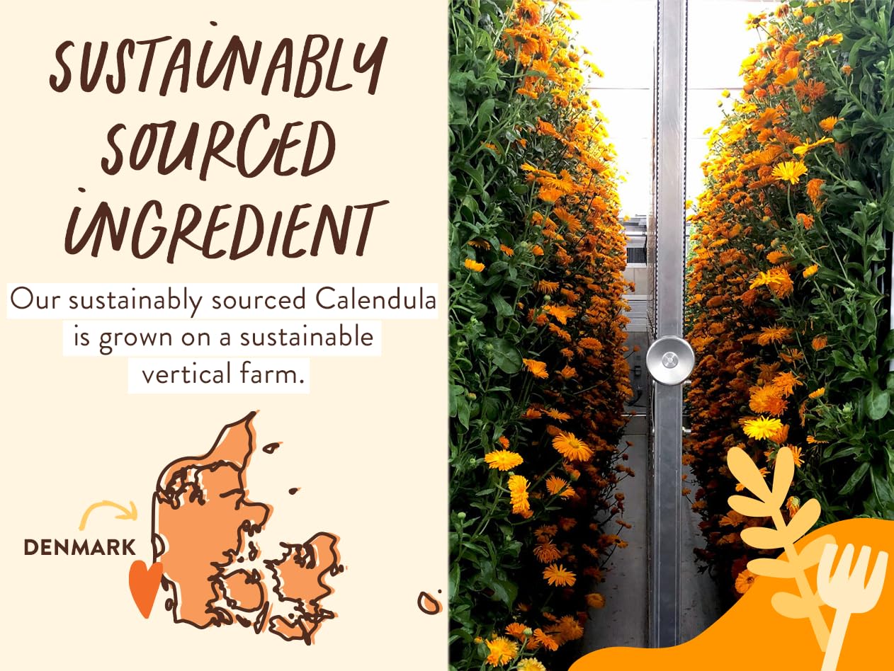 Moisturizing Oat & Calendula 2-in-1 Shampoo & Wash - 2 Pack
