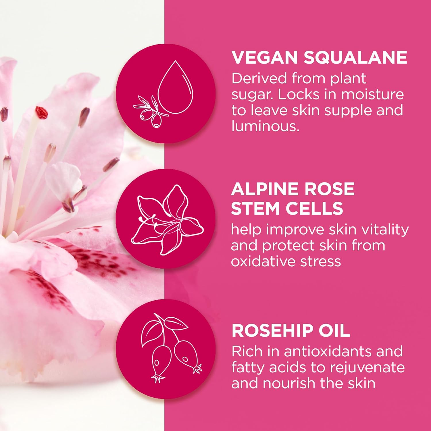 1000 Roses Soothing Squalane Oil