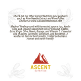 Wild-Harvested Spruce Bar Soap