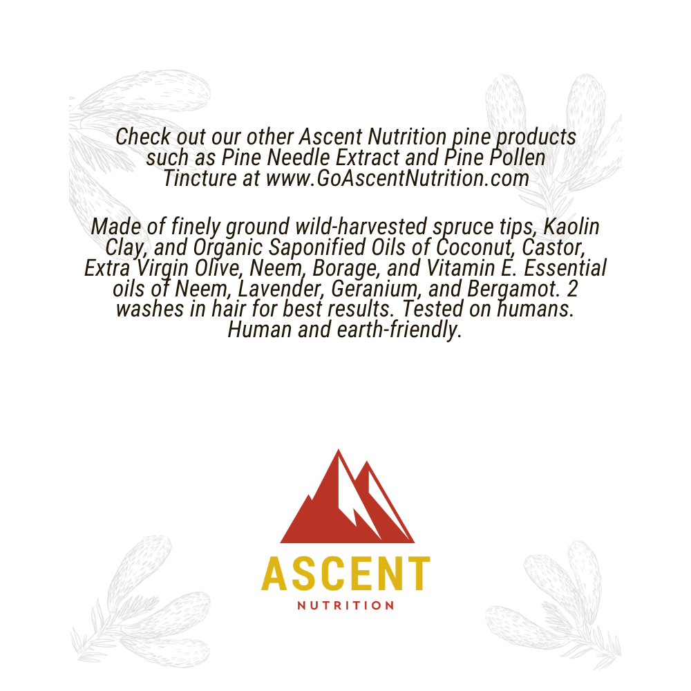 Wild-Harvested Spruce Bar Soap