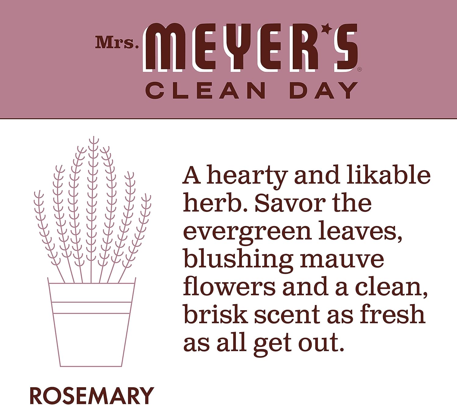 Rosemary Dish Soap