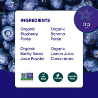 Berry Cool Puree – 6 Pack