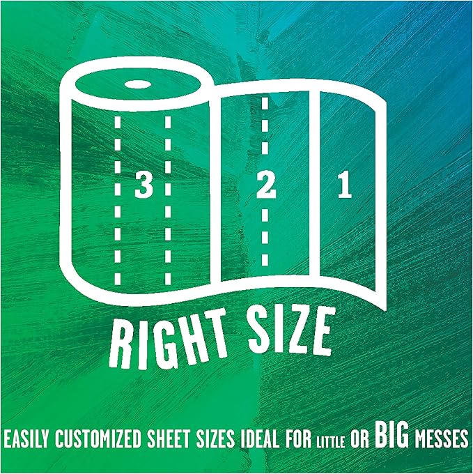 100% Recycled Paper Towels, 2-Ply, 6-Count (Pack of 4)