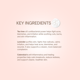 Acne Organic Face Cleanser