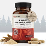 Daily Nutra KSM-66 Ashwagandha – Stress Relief & Relaxation