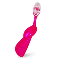 Big Toothbrush with Replaceable Head