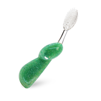 Big Toothbrush with Replaceable Head