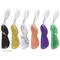 Big Toothbrush with Replaceable Head