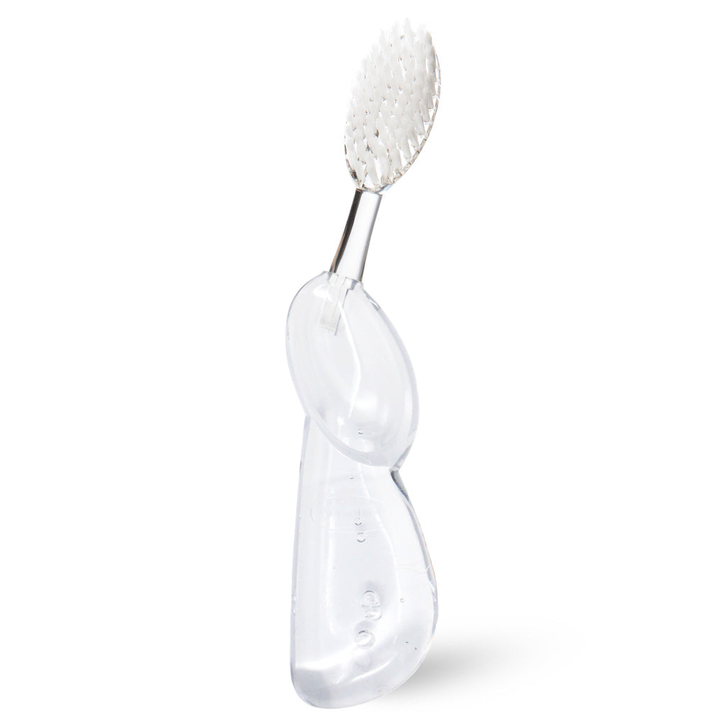 Big Toothbrush with Replaceable Head