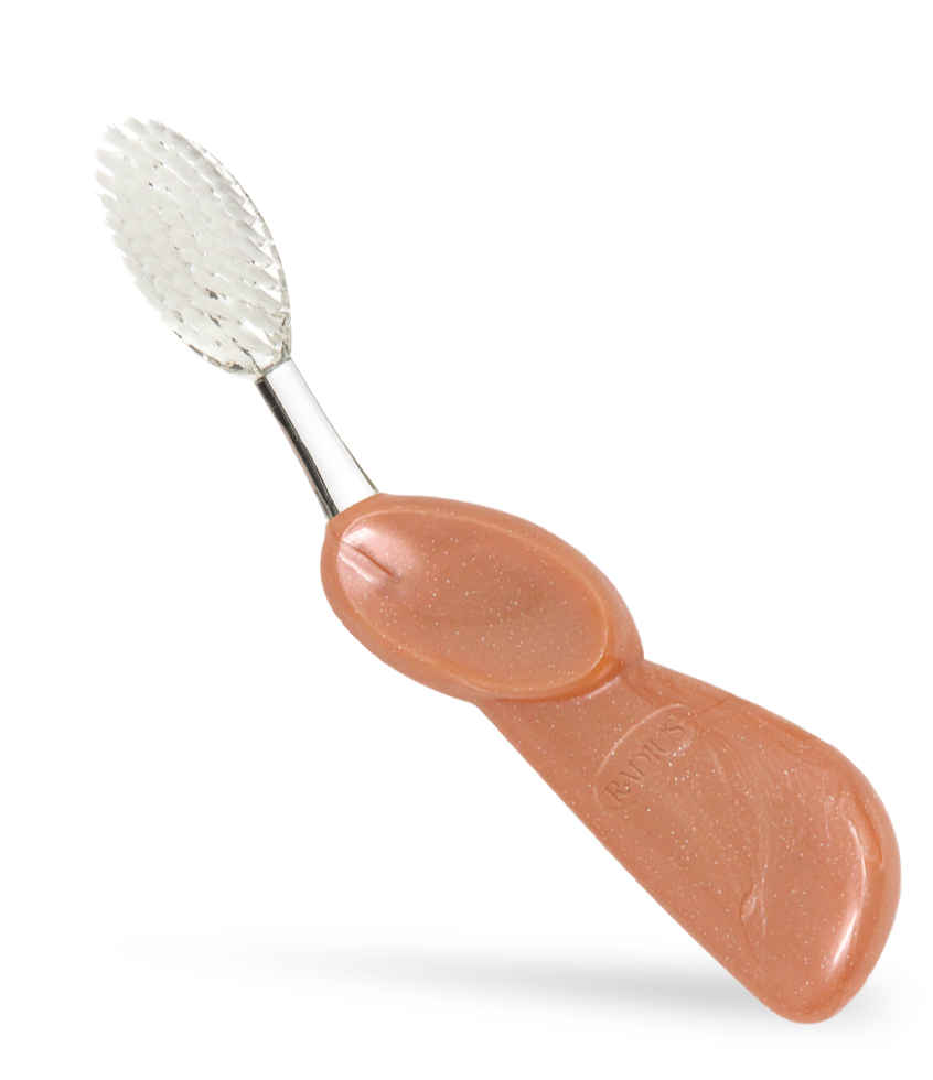 Big Toothbrush with Replaceable Head