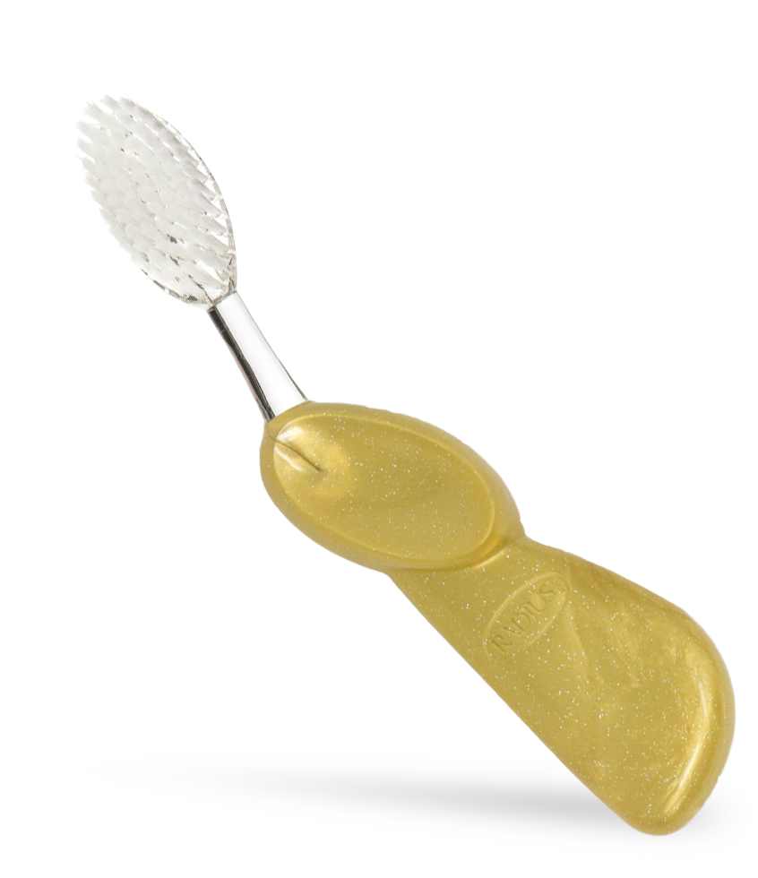 Big Toothbrush with Replaceable Head