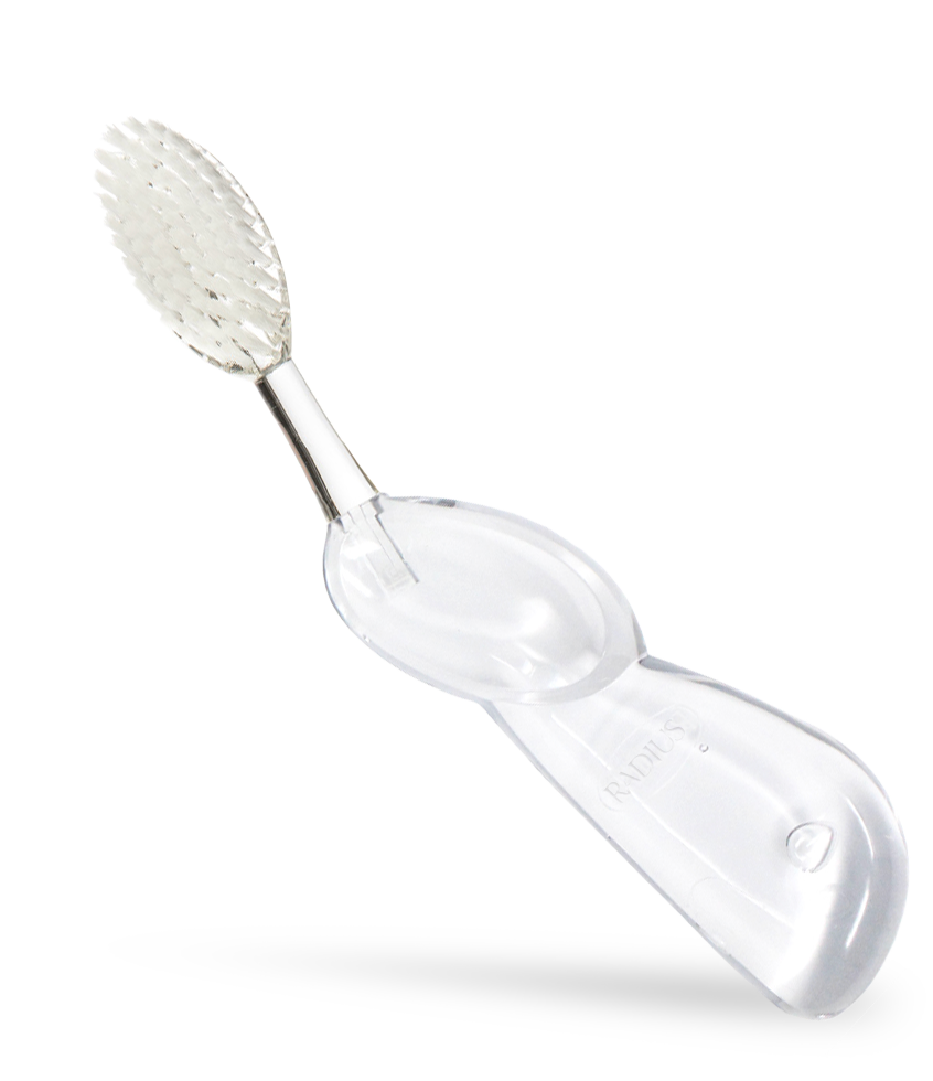 Big Toothbrush with Replaceable Head