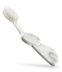 Big Toothbrush with Replaceable Head