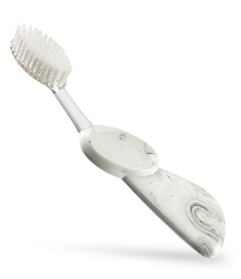 Big Toothbrush with Replaceable Head