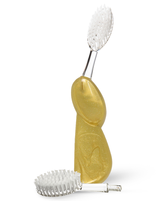 Big Toothbrush with Replaceable Head