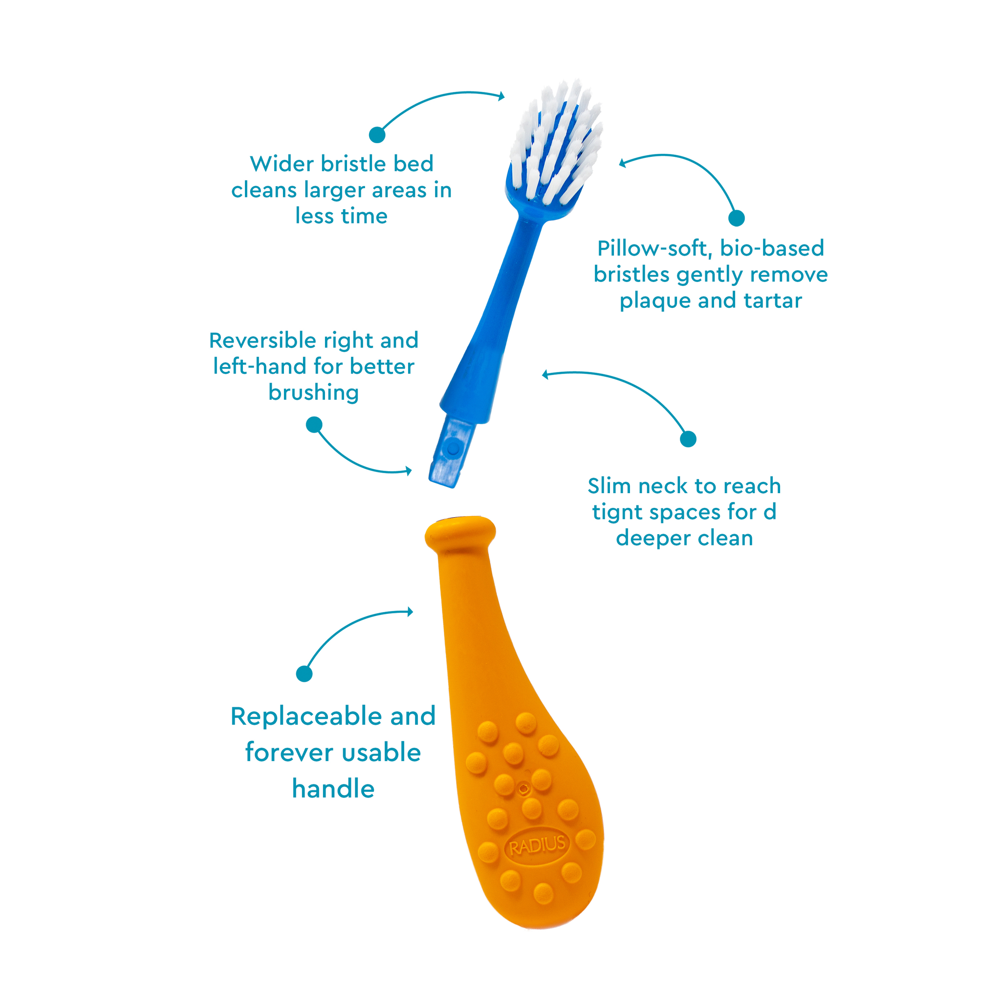 Big Kidz® Replaceable Head Forever Toothbrush® (6yrs+)