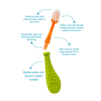 Big Kidz® Replaceable Head Forever Toothbrush® (6yrs+)