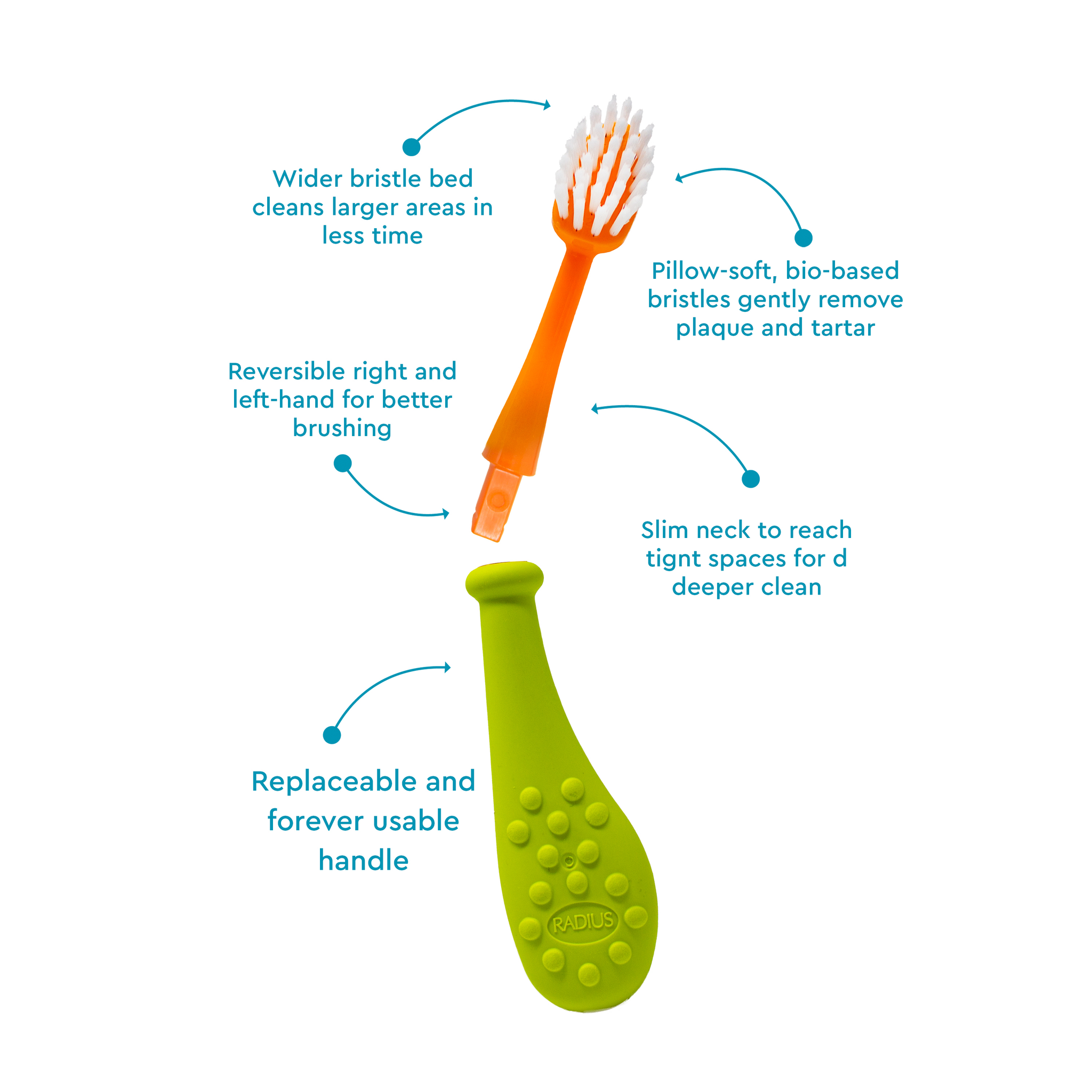 Big Kidz® Replaceable Head Forever Toothbrush® (6yrs+)