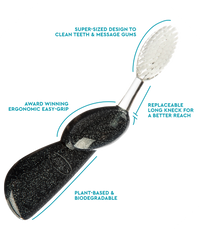 Big Toothbrush with Replaceable Head