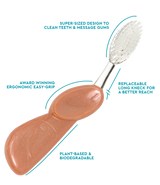 Big Toothbrush with Replaceable Head