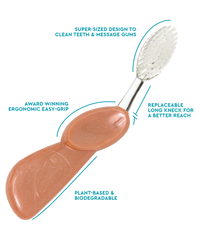 Big Toothbrush with Replaceable Head