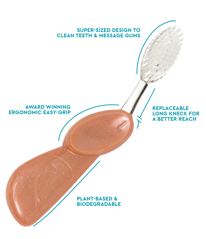 Big Toothbrush with Replaceable Head