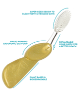 Big Toothbrush with Replaceable Head