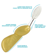 Big Toothbrush with Replaceable Head