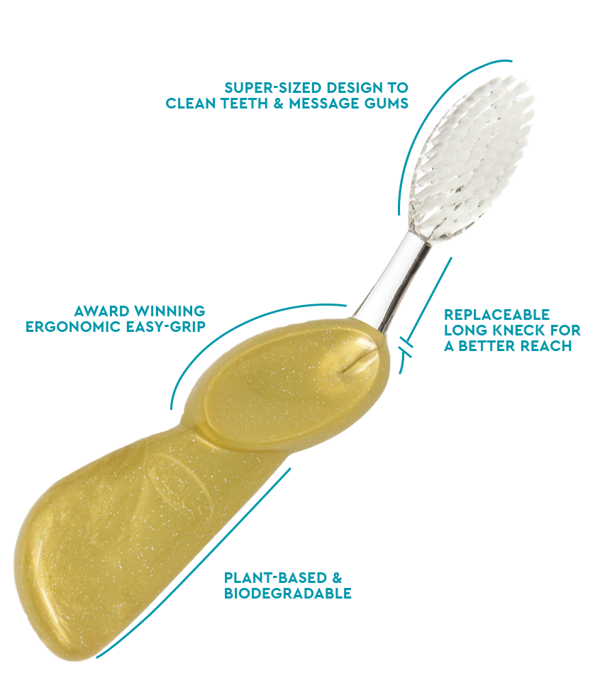 Big Toothbrush with Replaceable Head