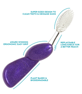 Big Toothbrush with Replaceable Head