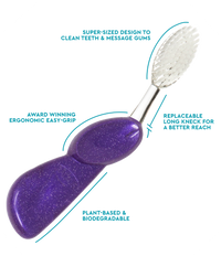 Big Toothbrush with Replaceable Head