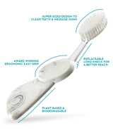 Big Toothbrush with Replaceable Head