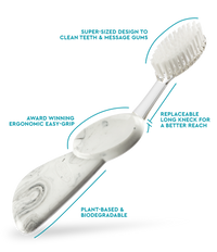 Big Toothbrush with Replaceable Head